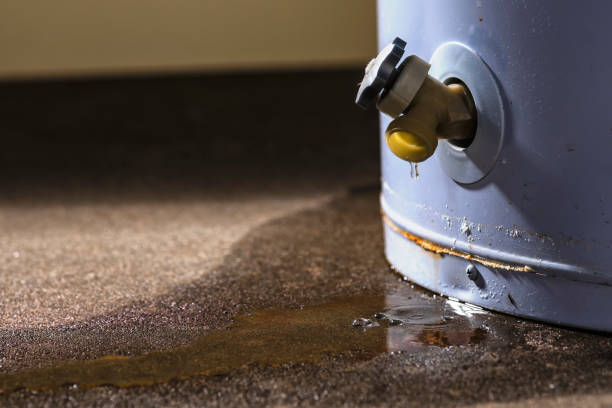 Carpet water damage restoration