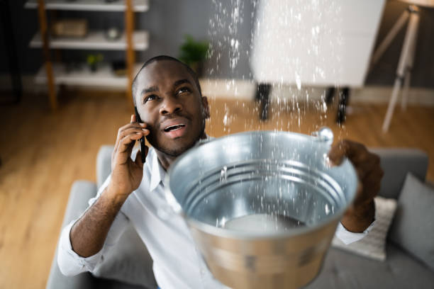  Heyville, AL Water damage restoration Pros
