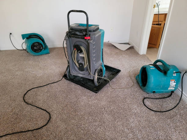 Best Water damage restoration near me  in Heyville, AL
