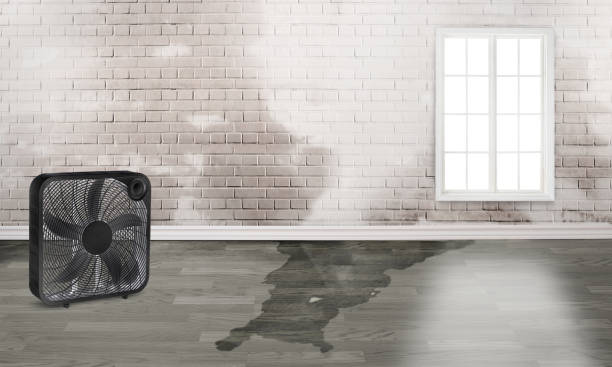 Best Emergency water damage restoration  in Heyville, AL