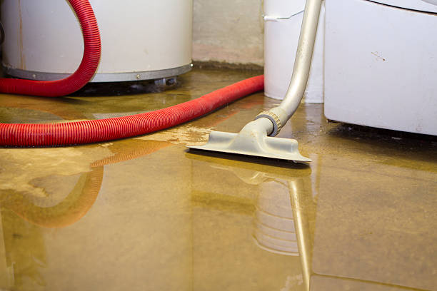 Best 24/7 water damage repair  in Heyville, AL