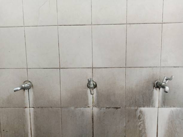 Best Water damage restoration near me  in Heyville, AL