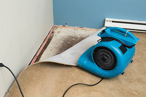 Best Professional water damage repair  in Heyville, AL